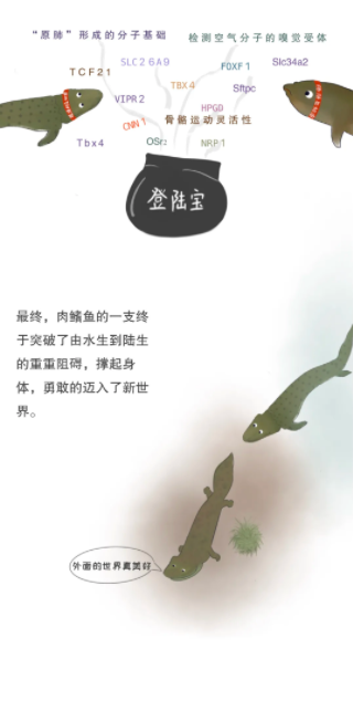 万种鱼项目-6.png