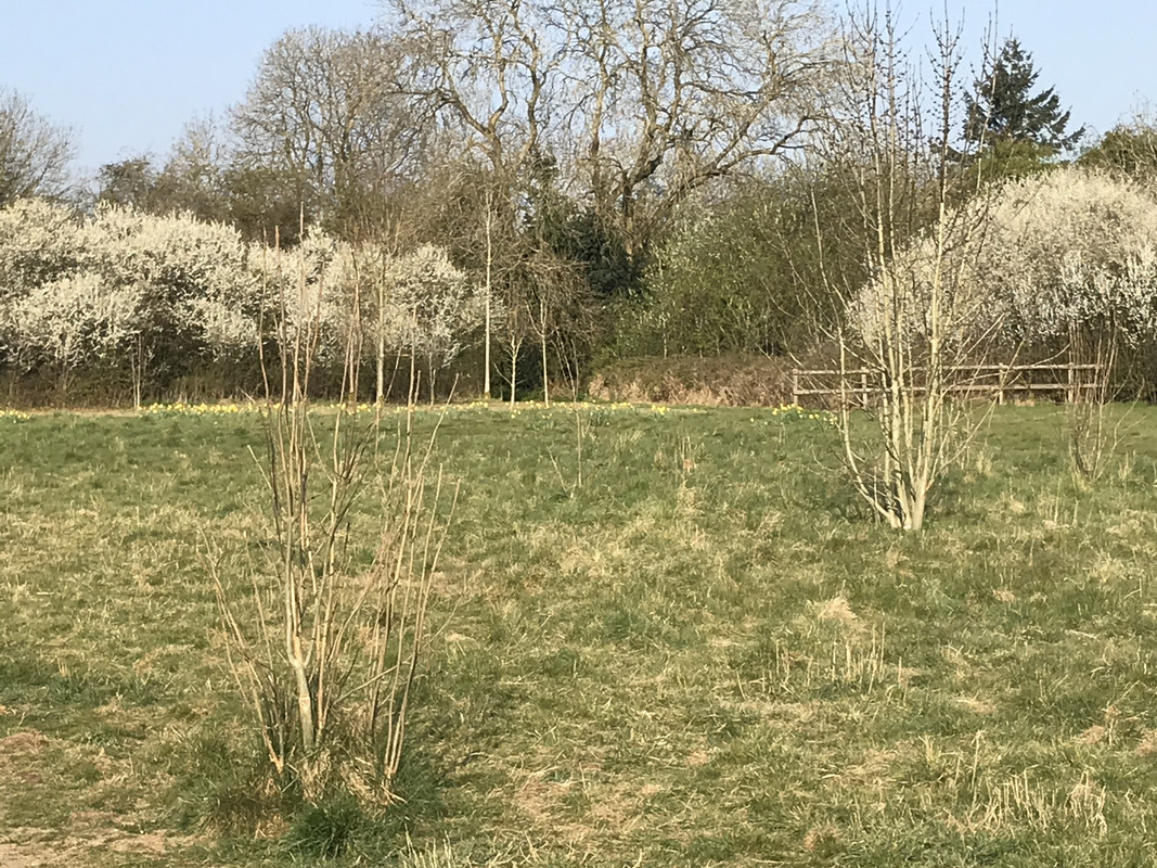 9DBA54B7-9ECE-4D72-BCF4-870F8CE0FA13