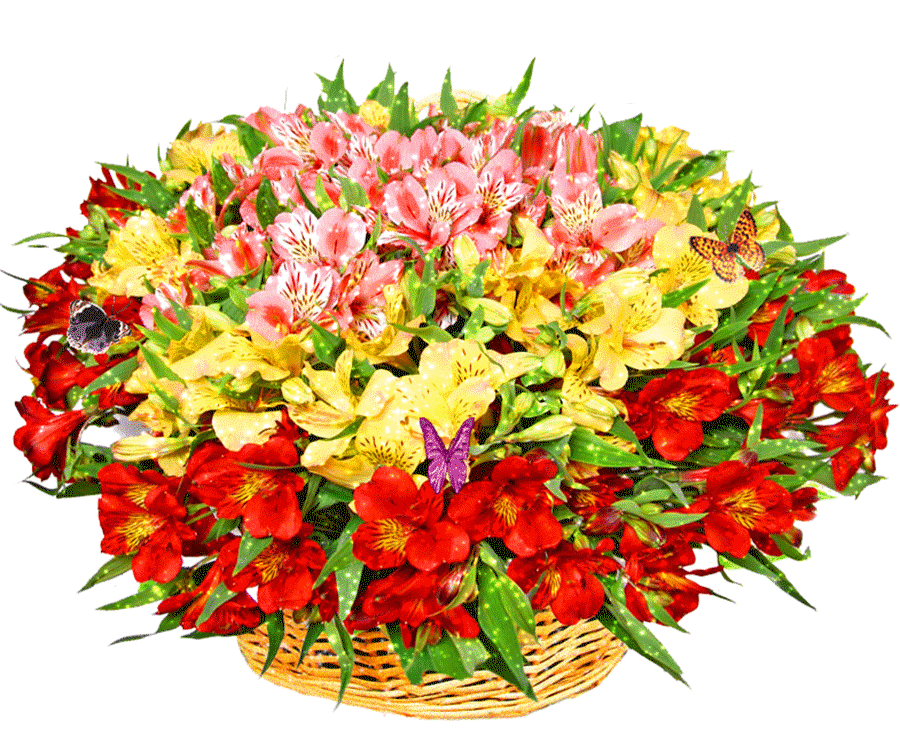 [Image: 2020-flowers-1.gif]
