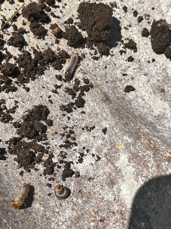 7B57D795-4FFA-4327-9981-4B3B09026221