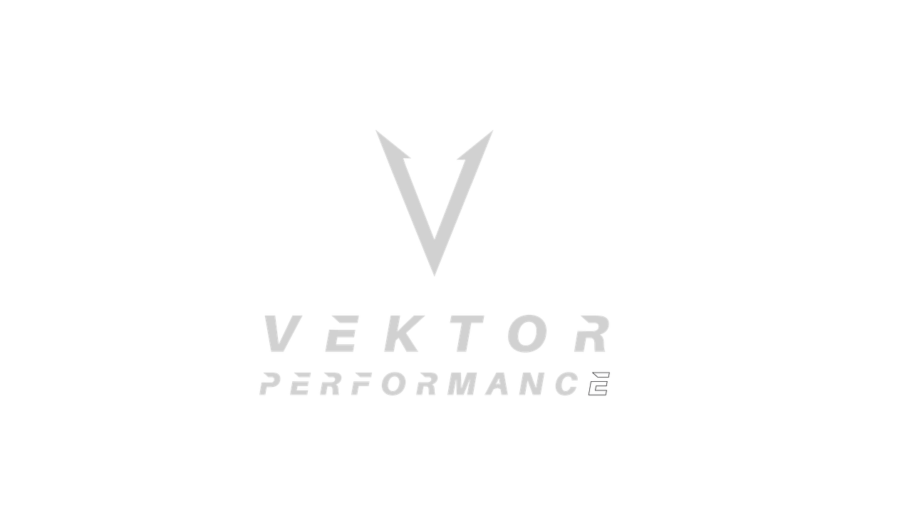 Vektor Performance