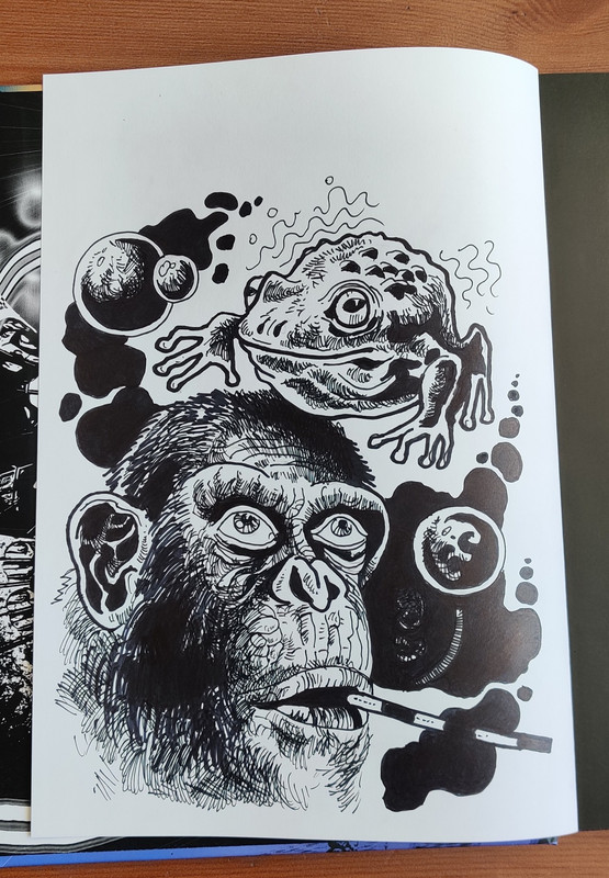 461228196_926078599564231_7525355656352304823_n