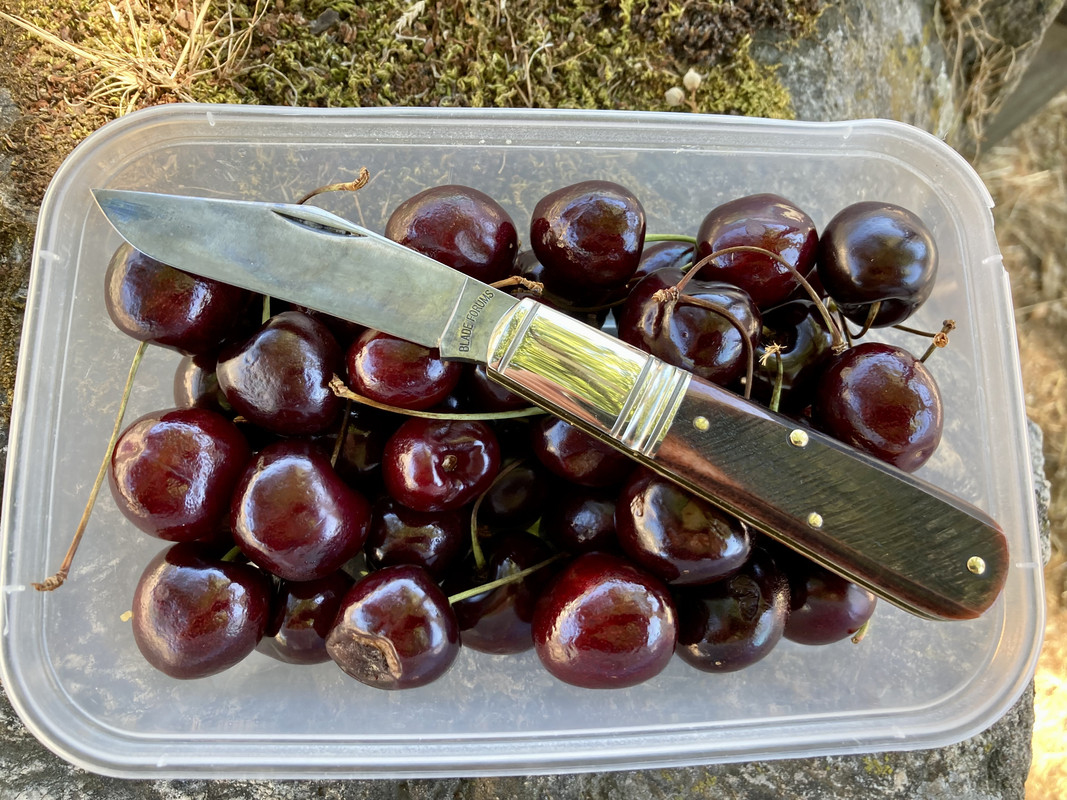 37B70D46-DFE8-48D3-90AD-CAC963BC364F