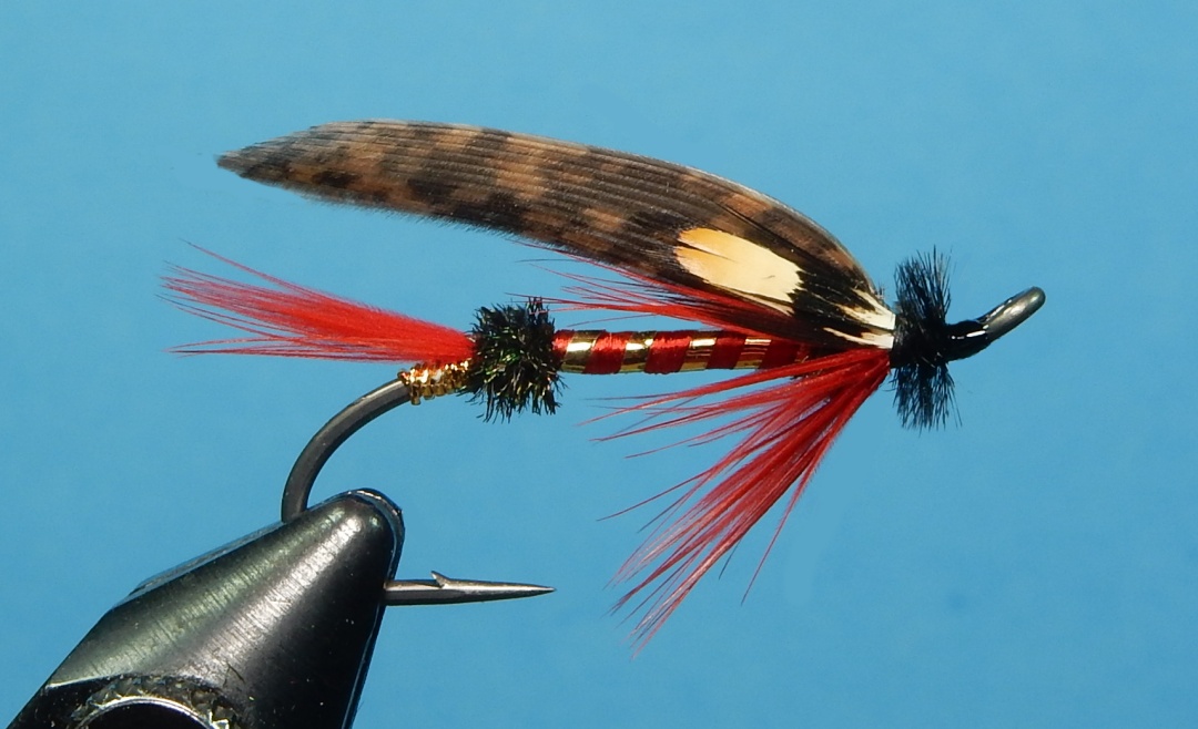 Bekeart-s-Special-1080.jpg