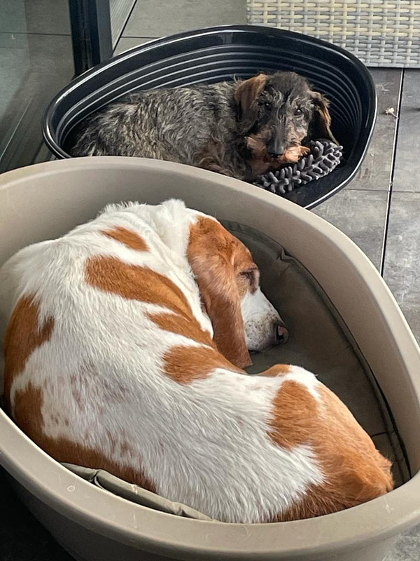 [Image: IMG-20230605-WA0006.jpg]