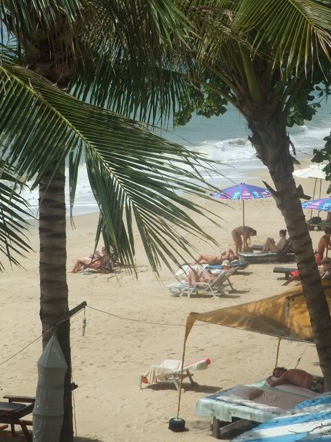 [Bild: k-Samui-Mrz2006104.jpg]