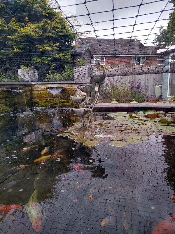 IMG_20240702_091419978_HDR