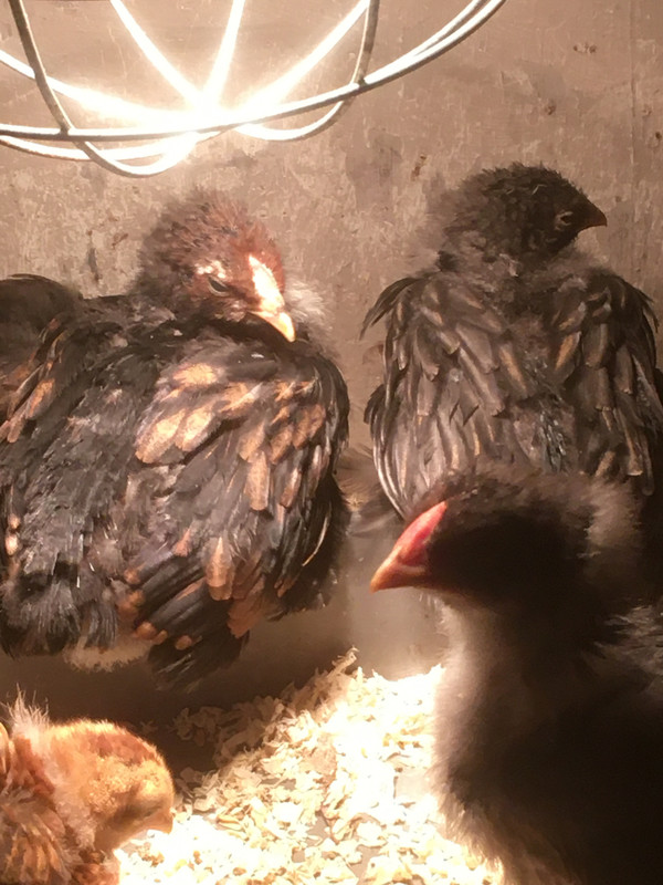 953BBD52-D707-4022-A857-681991CD6075