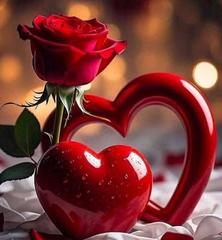 FB-IMG-1764973046116