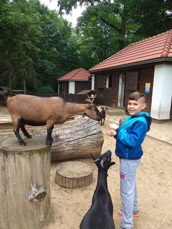 received_212184176934926