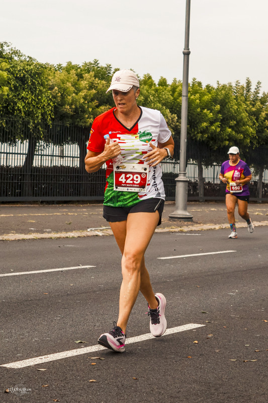 Canary-Run 121