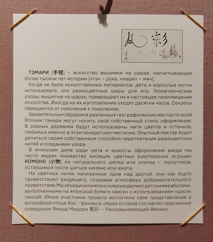 https://i.postimg.cc/Gtpp3Jch/115-IMG-20240926-113248.jpg