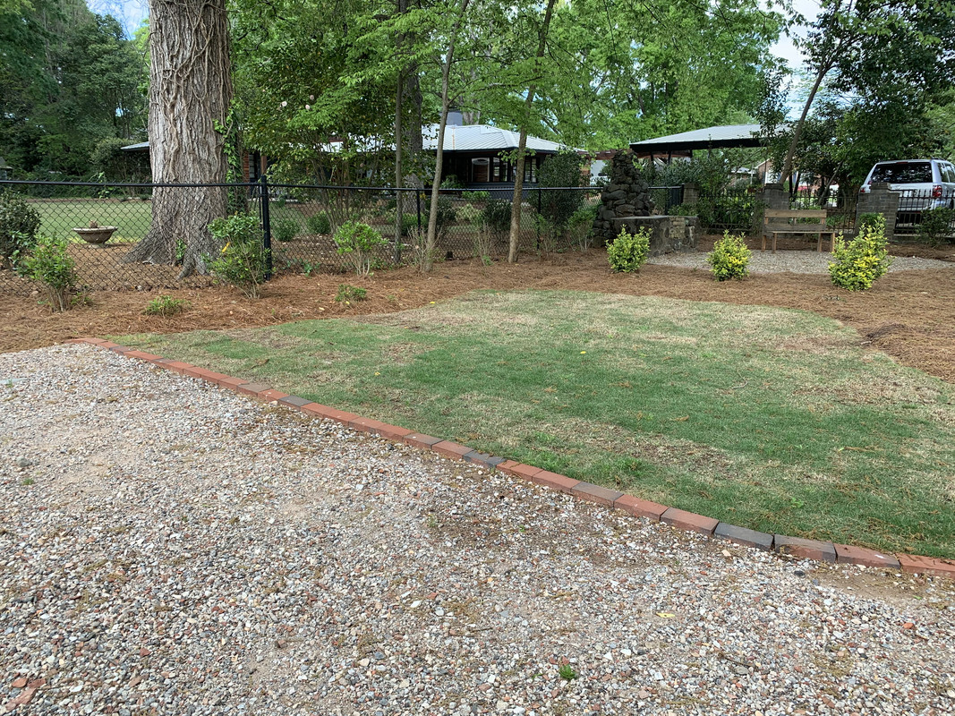 Zoysia Shade Tolerance Page 2 Lawn Care Forum