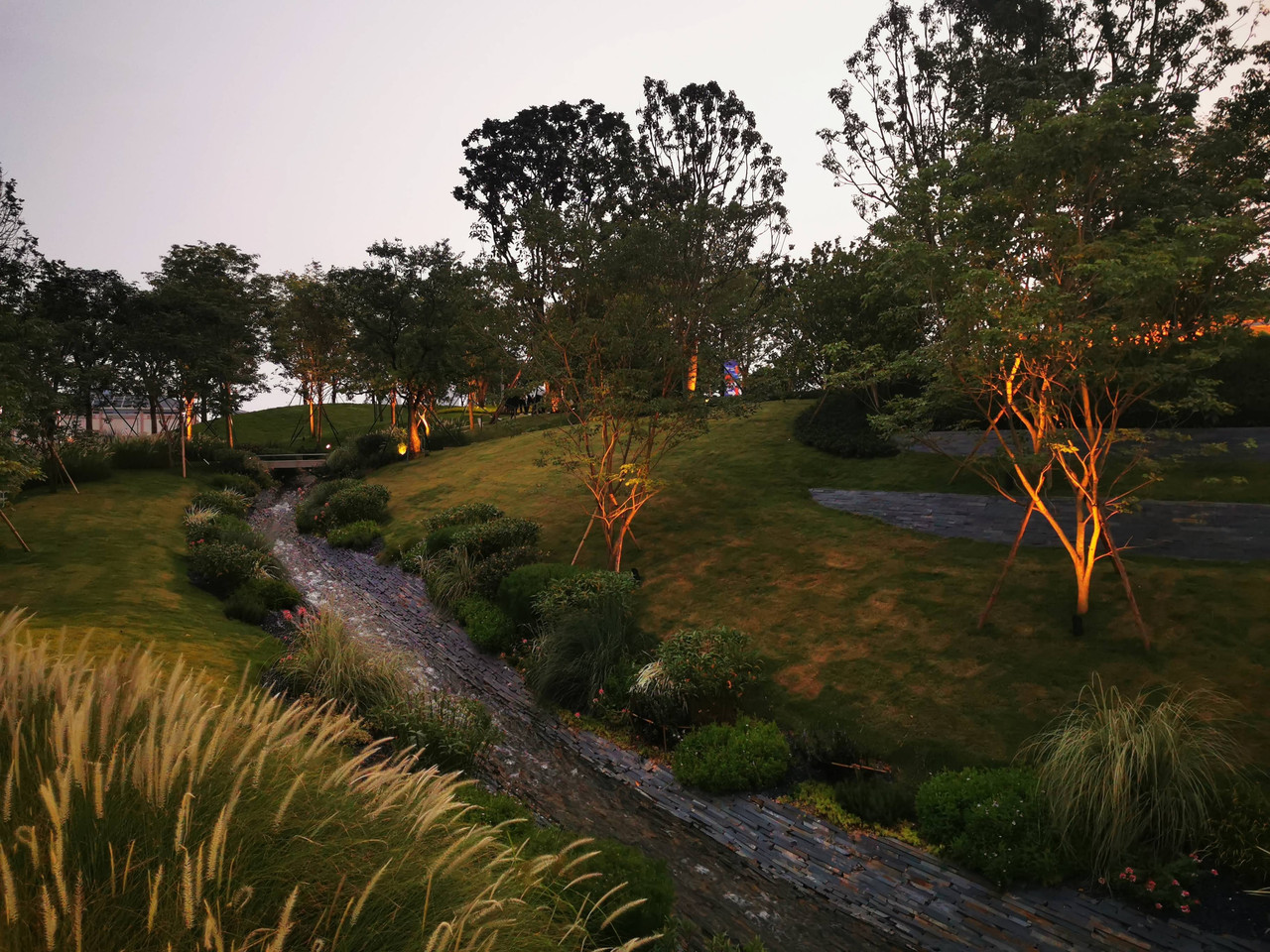 light (10)