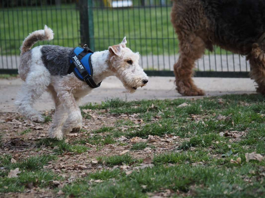 F29C7028-176B-415D-A9F2-BBB66BF279DA