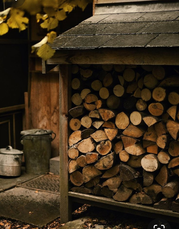 Screenshot_20231127_224606_Pinterest