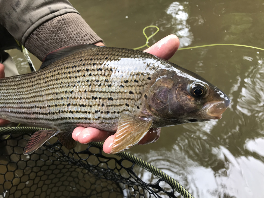 3EA0CFB7-9E2F-47F2-8272-43E6934674C7