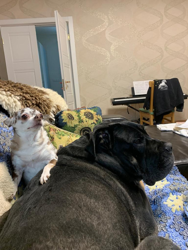 21F5D966-C9AF-41E2-9CA0-2F13DFF64B94