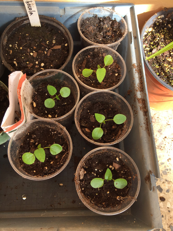 648B2105-85EB-464A-917C-6910C93C05A5