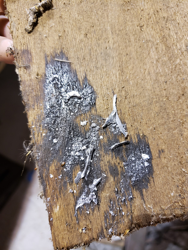 Balance shaft delete and oil pan modification. Ford Mustang Ecoboost