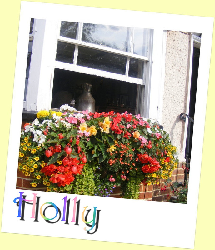 Flowerwindow.jpg