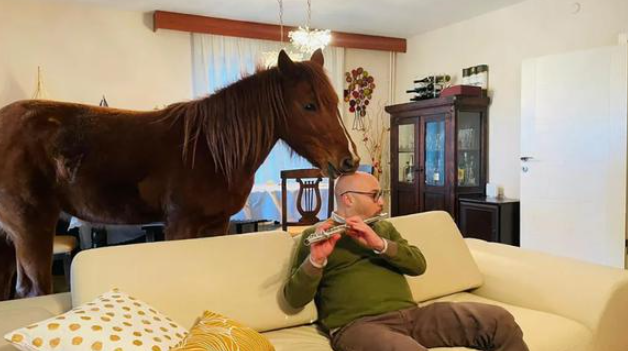 VIRAL: Acoge animales enfermos y convirtió su jardín en un ‘arca de Noé’
