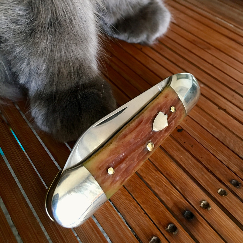 F6E01873-43F2-462D-B49A-201B37A252D5