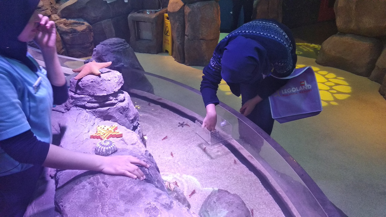Seorang pengunjung berinteraksi dengan udang di SEA LIFE Malaysia