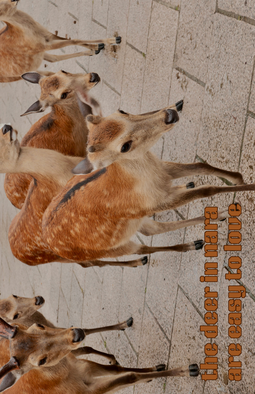 The cover page of a zine titled 'the deer in nara are easy to love'.