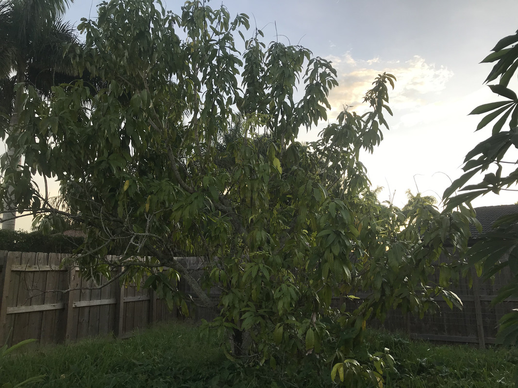 0116C8F8-60A7-45D9-ADAC-5B43D2ED6B43