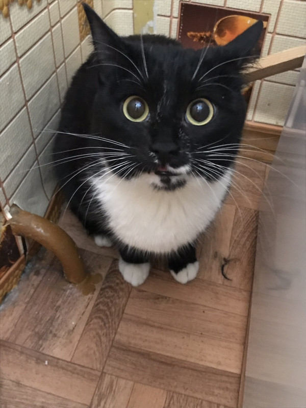 240ED650-6B3B-4437-8114-05D174E035F2