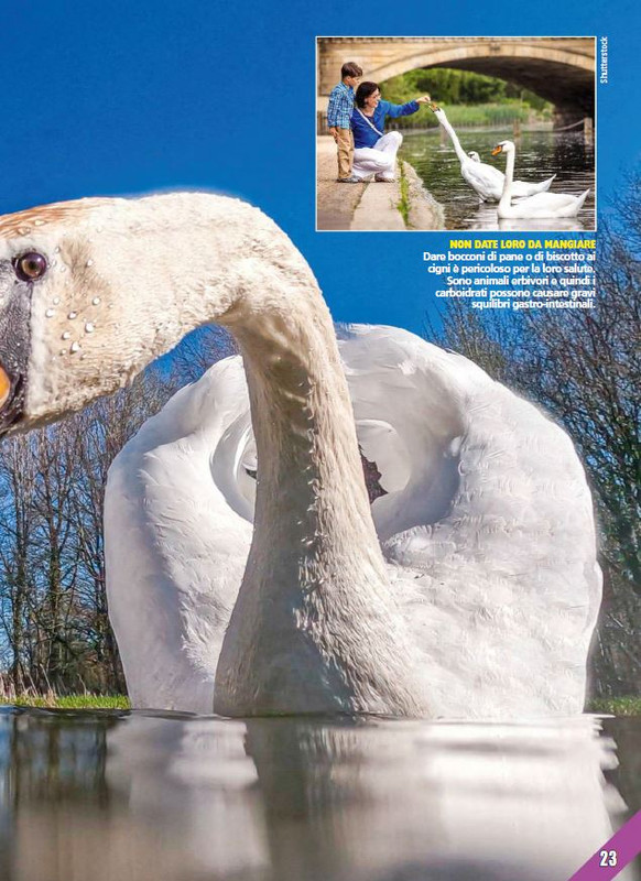 Foc Wil - Lug 2023 (4)