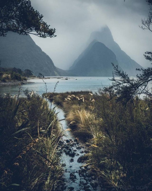 Naturaleza-10