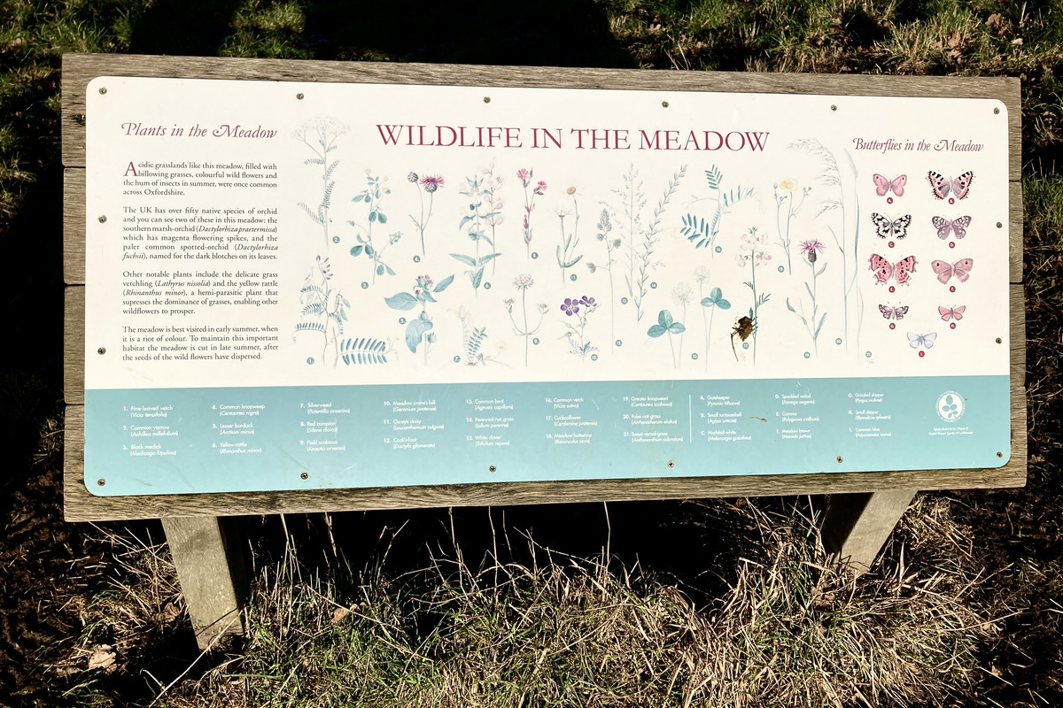 2B04FE24-DC4A-4F71-BB8A-BE13FAD03843