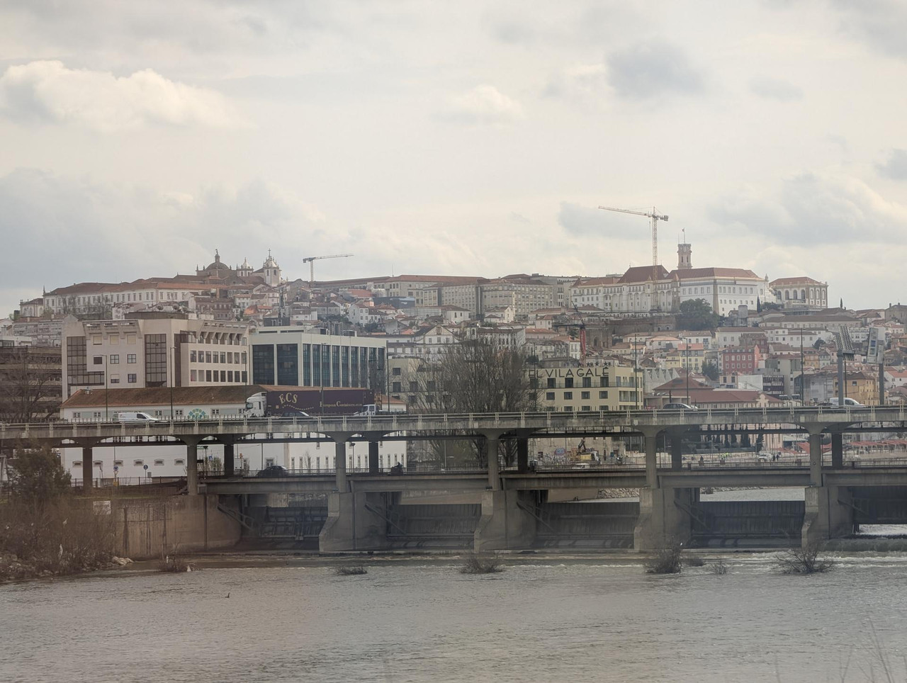 PXL 20260302 120911399