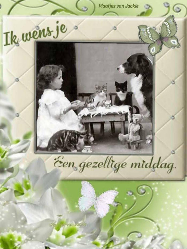 An den Beitrag angehängtes Bild: https://i.postimg.cc/Gtt9PRFf/106506840-3291964627501608-8066338119088738049-n.jpg