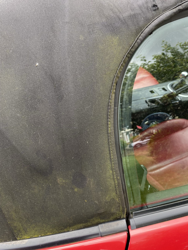 2021-07-29_12-46-14_IMG_0300