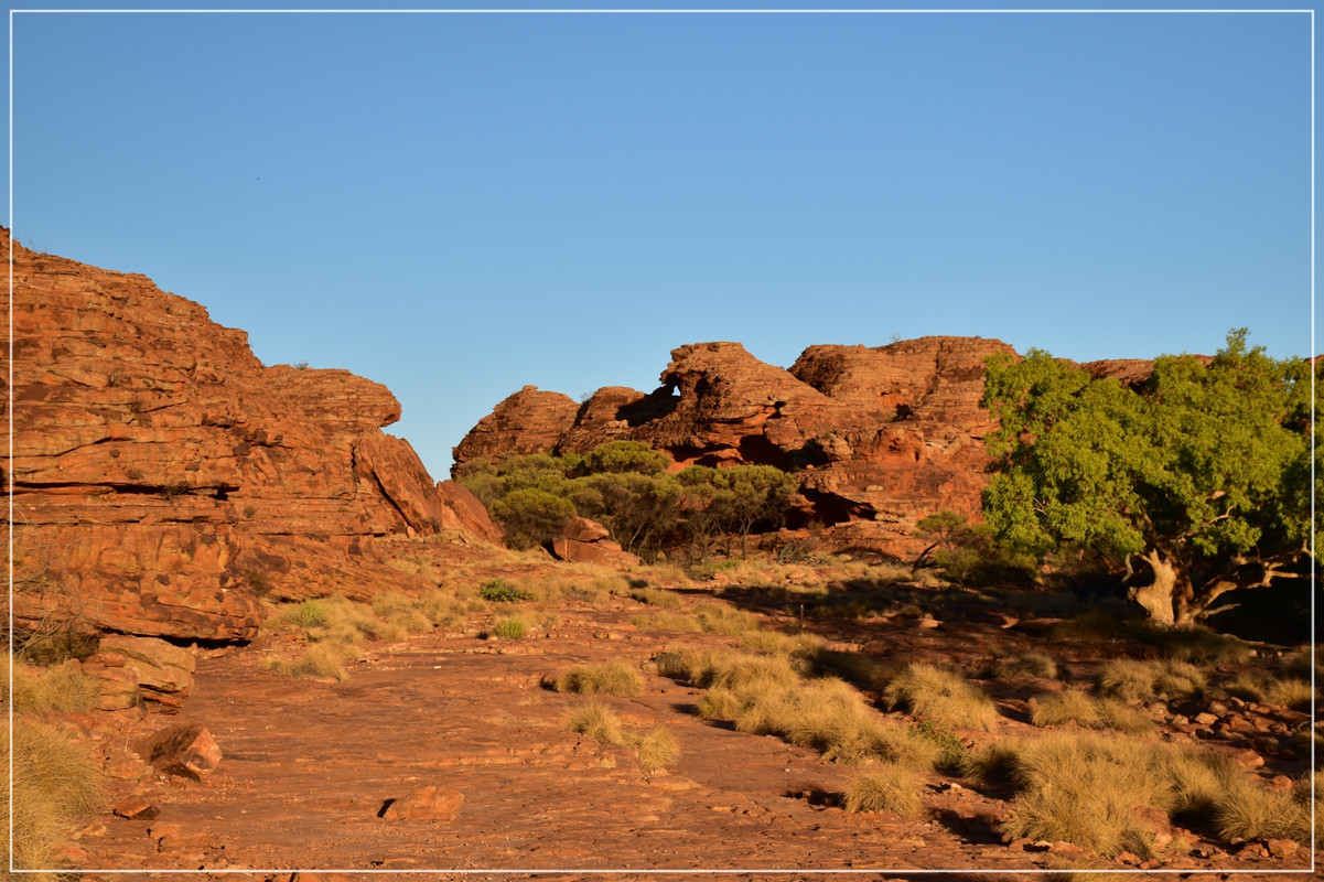 Red Center - Australia (I): toma de contacto (34)