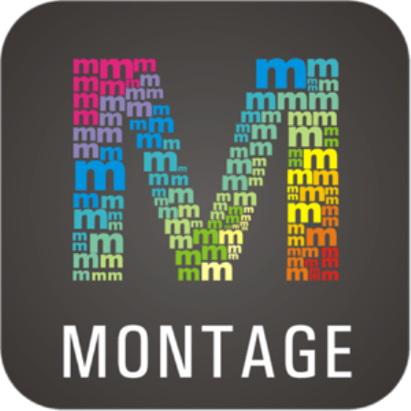 WidsMob Montage 1.19 MAS