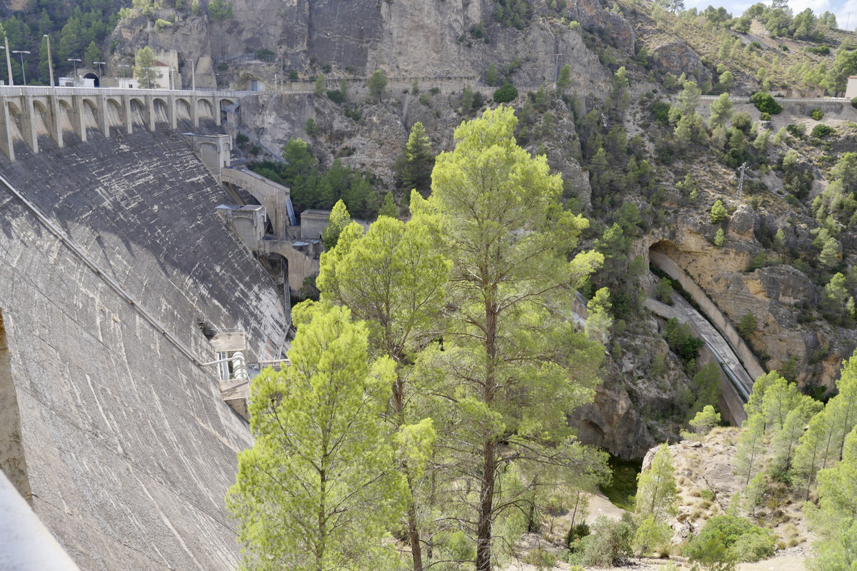 0EE13917-7695-4187-BCE7-06CB2A240BE0