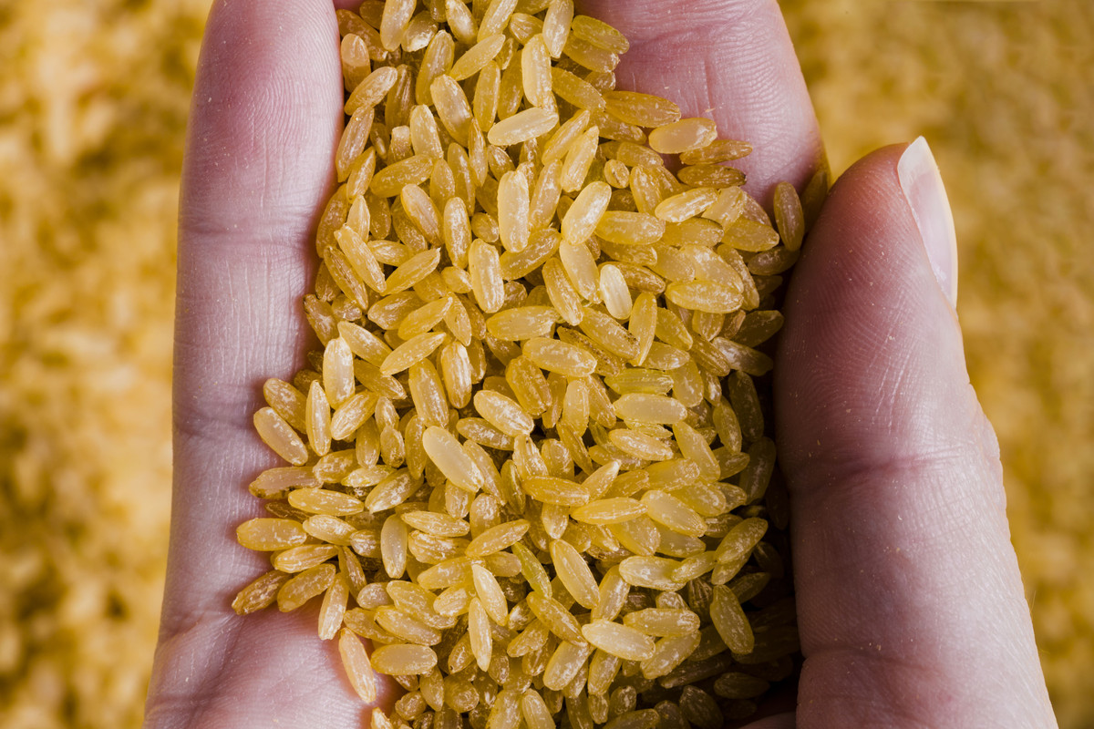 Brown Rice
