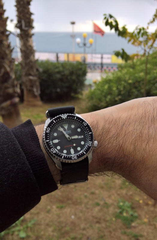 WP_20190104_14_55_35_Pro_LI (2)