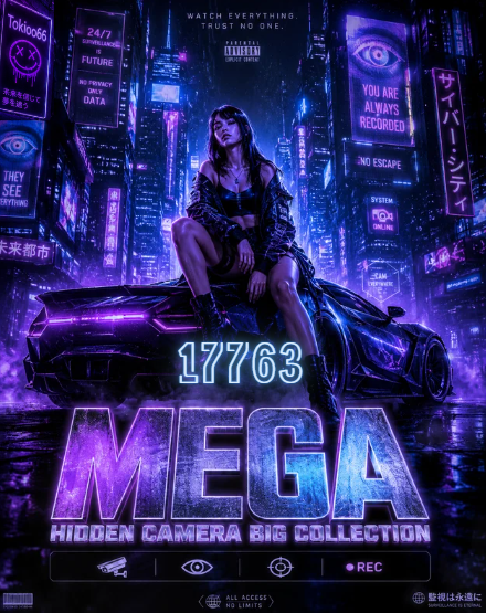 MEGA~hidden camera big collection #17763