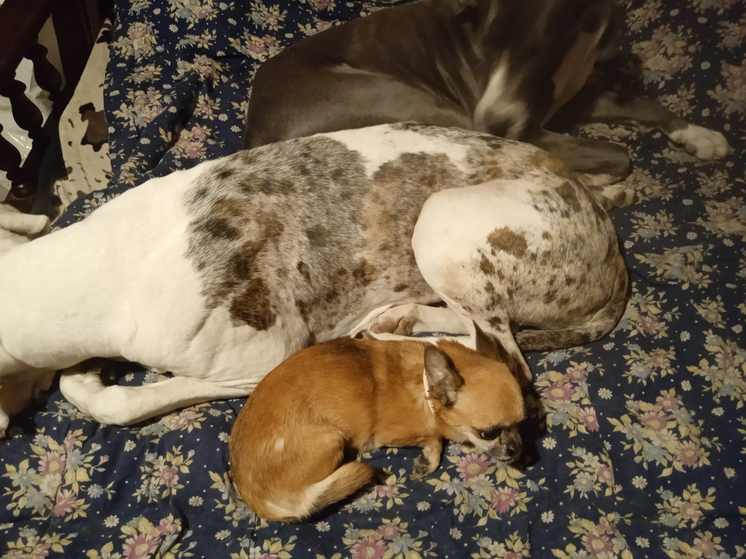 8DBC9AD2-73F2-4797-9F7F-FB065F4855CD