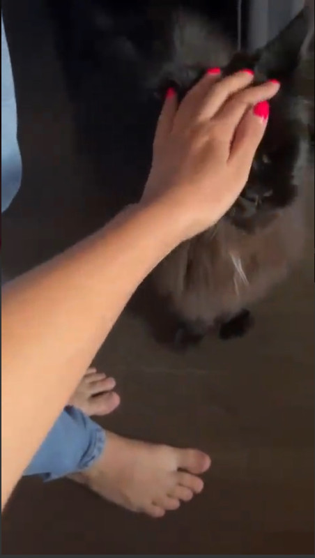 5C112F09-A8EA-474E-AC60-652B36899B39