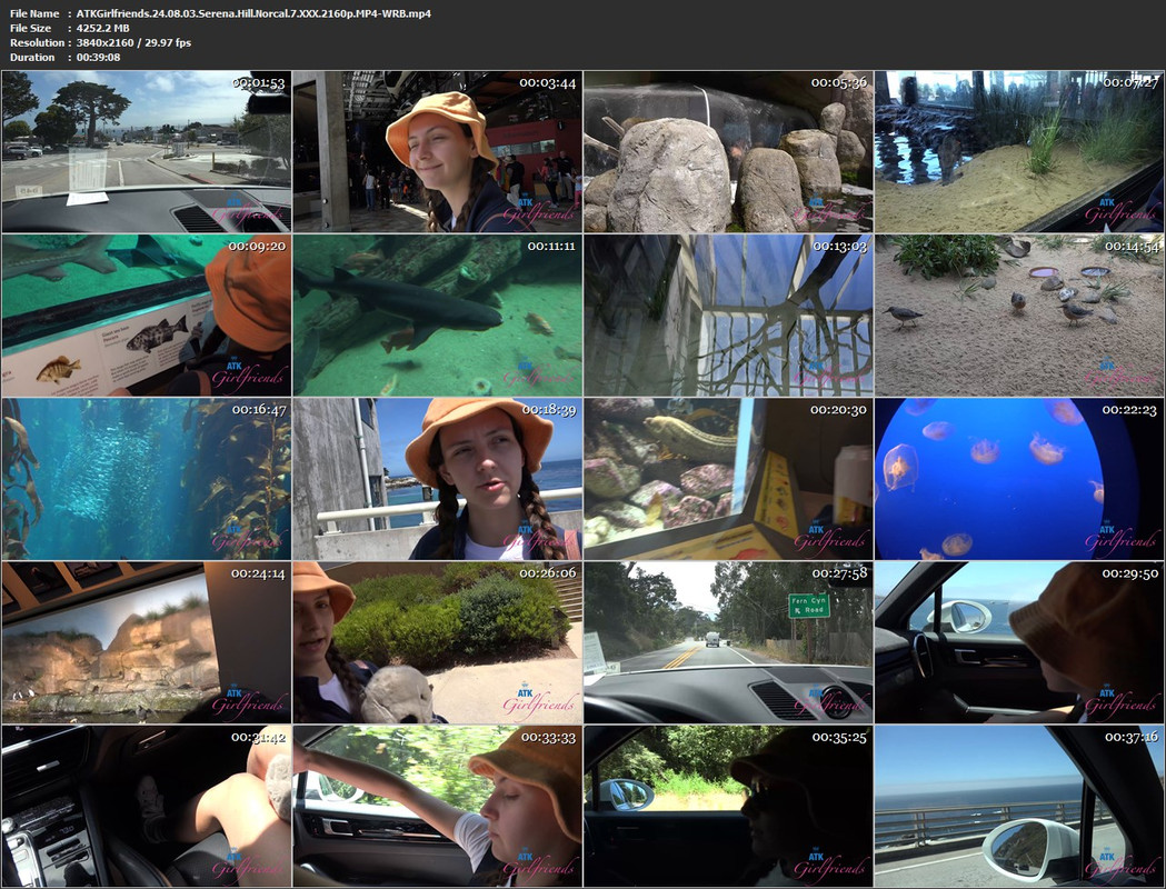 03082024124146screenshot