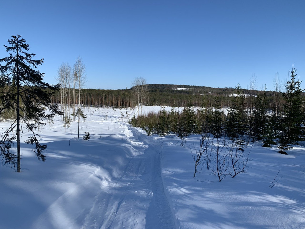 D0A3FDC5-99E3-4E5C-A697-FBC635EE798B