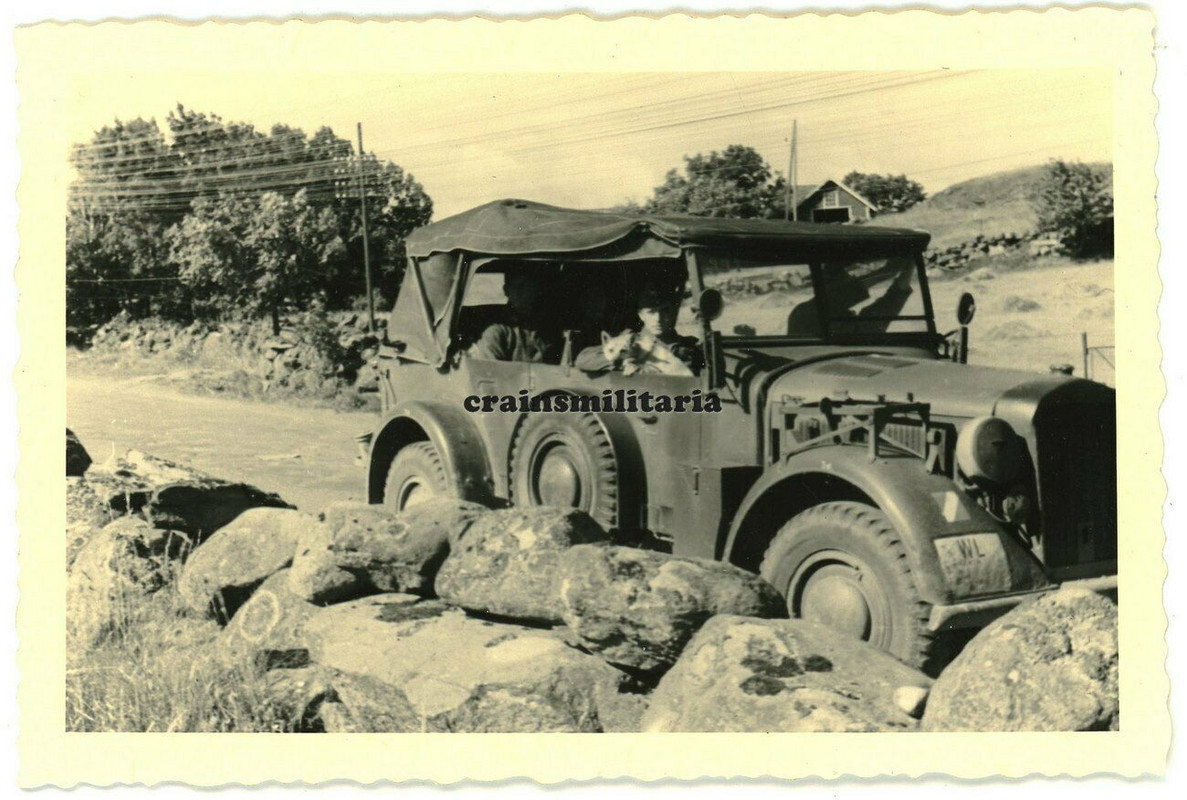 Orig. Foto Luftwaffe Kübelwagen Einheits-Pkw mit Wappen