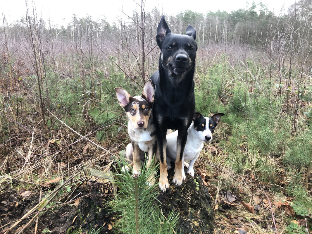 64722CCA-C7CB-46DB-B0D4-4E66D31AB27F