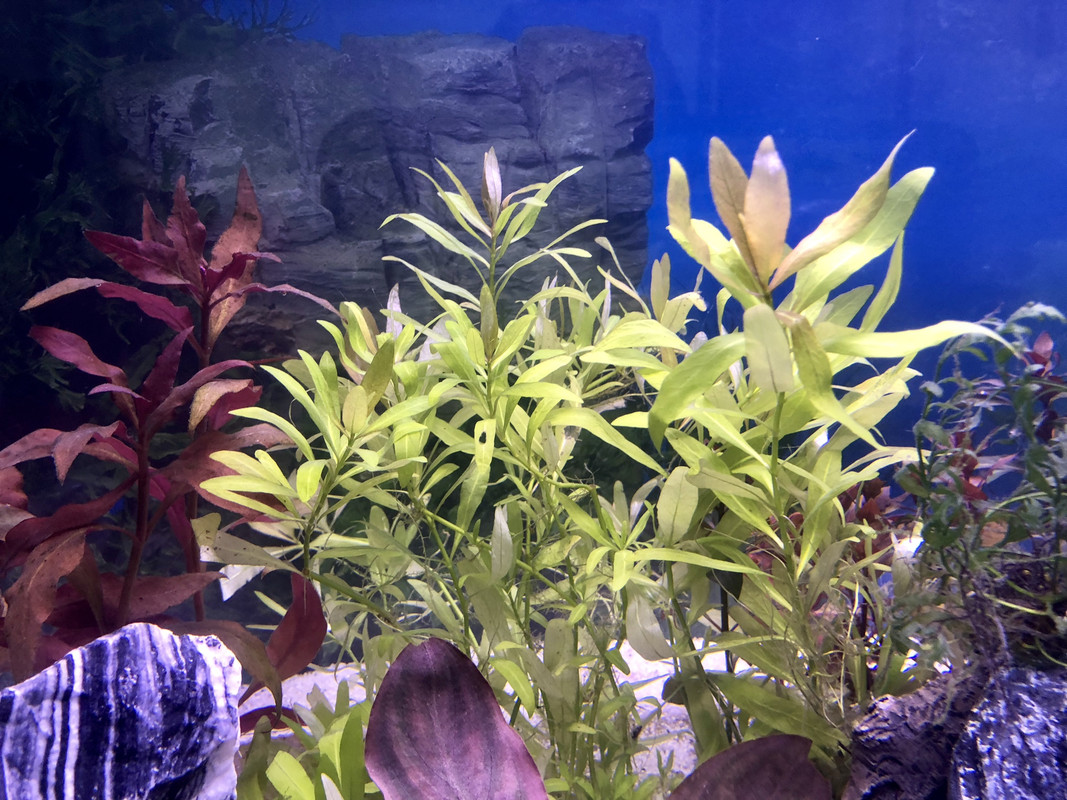 266FF353-209A-46CE-BE9E-921B1F6871B2